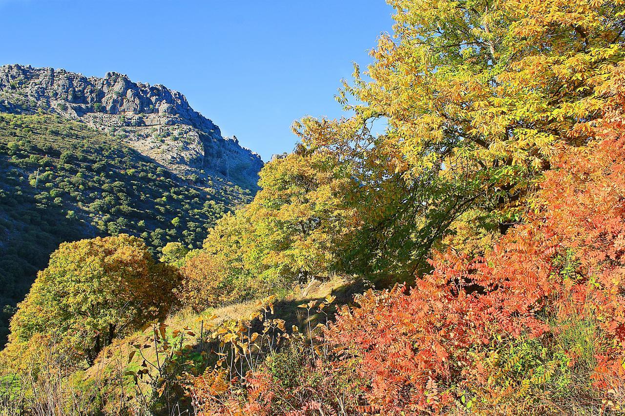 Casa Rural Júzcar Εξωτερικό φωτογραφία